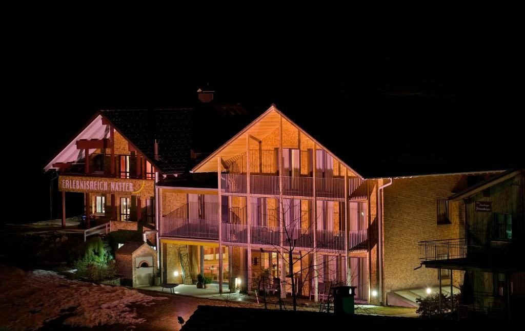 N Apartments Hotel Schoppernau Eksteriør billede